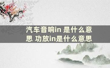 汽车音响in 是什么意思 功放in是什么意思